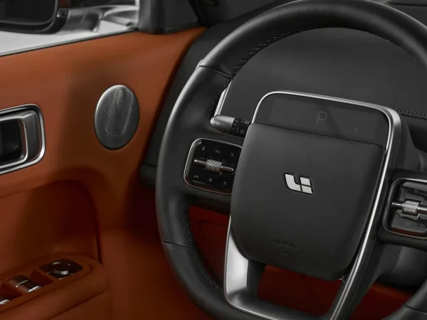 Li Auto (Lixiang) L7, I Рестайлинг фото №13