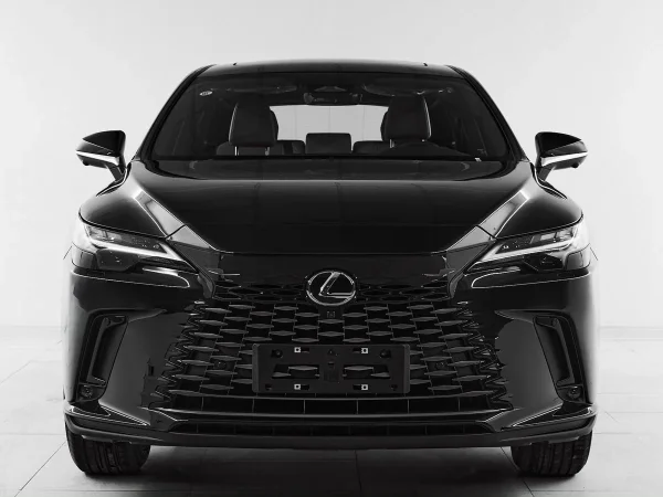 Lexus RX, V фото №3