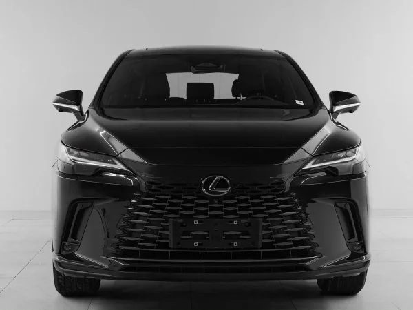 Lexus RX, V фото №3