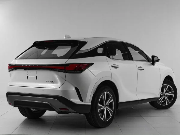 Lexus RX, V фото №7