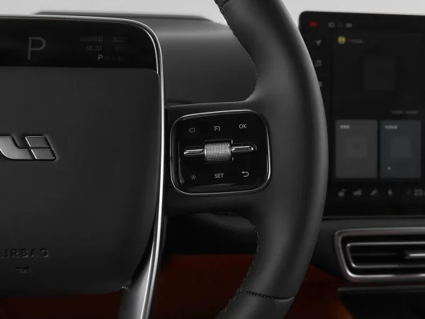 Li Auto (Lixiang) L9, I Рестайлинг фото №9
