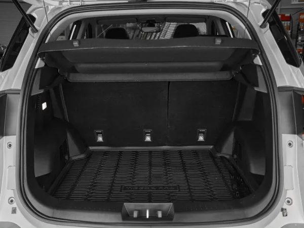 Chery Tiggo 4 Pro, I фото №17