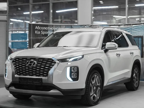 Hyundai Palisade, I фото №1