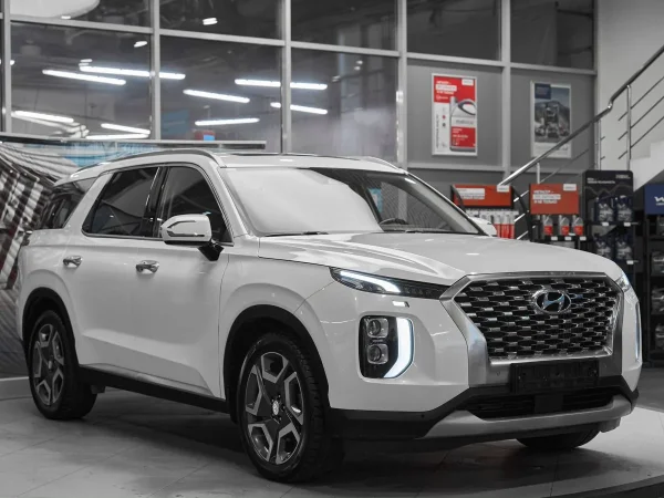 Hyundai Palisade, I фото №3