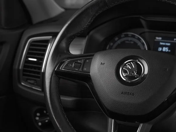 Skoda Kodiaq, I фото №13