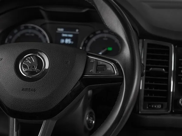 Skoda Kodiaq, I фото №14