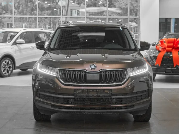 Skoda Kodiaq, I фото №2