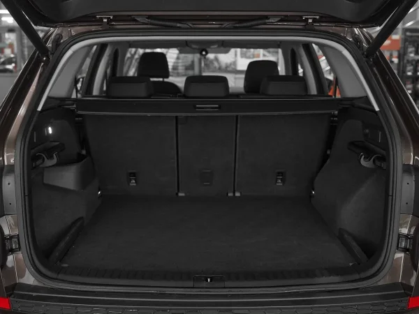 Skoda Kodiaq, I фото №20