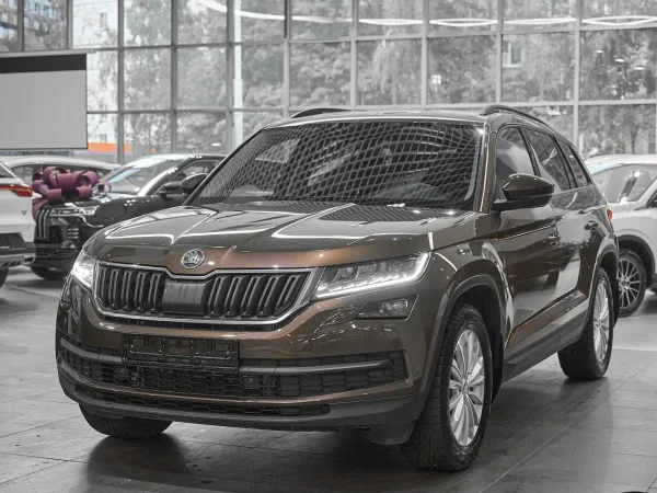 Skoda Kodiaq, I фото №3