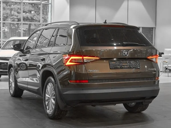 Skoda Kodiaq, I фото №4