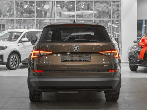 Skoda Kodiaq, I фото №5