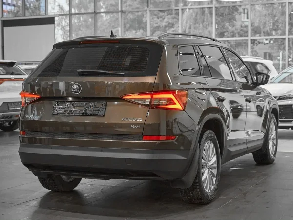 Skoda Kodiaq, I фото №6