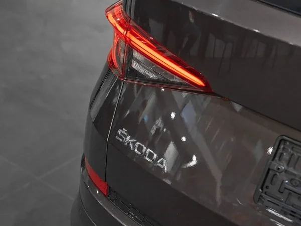 Skoda Kodiaq, I фото №7