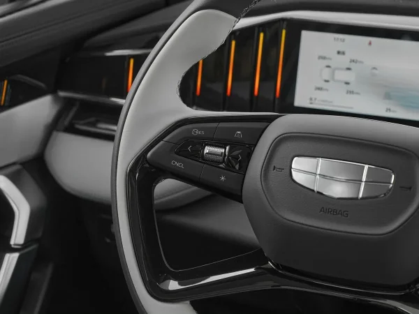 Geely Atlas, II фото №12
