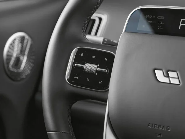 Li Auto (Lixiang) L9, I Рестайлинг фото №12