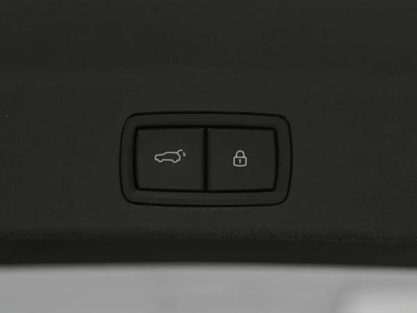 Li Auto (Lixiang) L9, I Рестайлинг фото №24