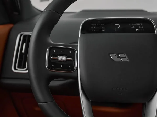 Li Auto (Lixiang) L9, I Рестайлинг фото №12