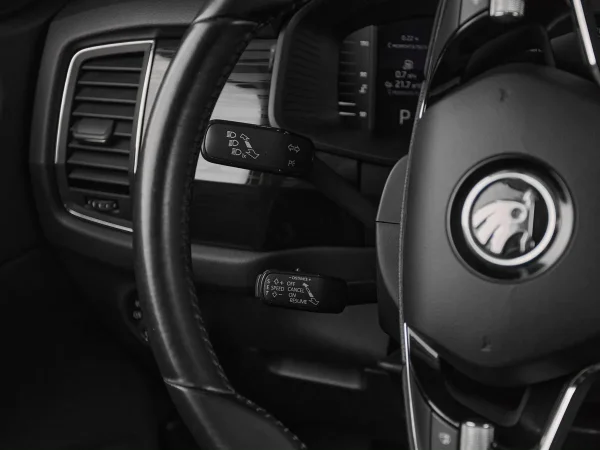 Skoda Kodiaq, I фото №13