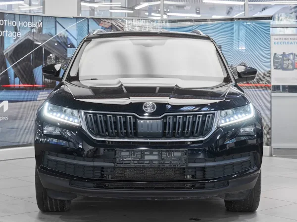 Skoda Kodiaq, I фото №2