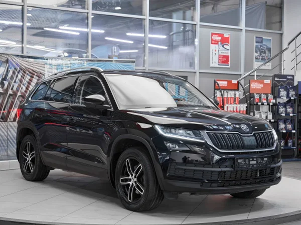Skoda Kodiaq, I фото №3