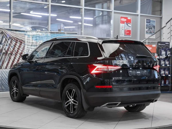 Skoda Kodiaq, I фото №4