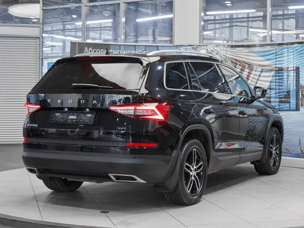 Skoda Kodiaq, I фото №6