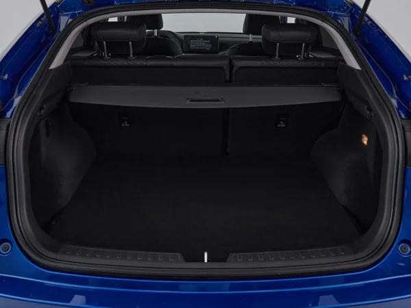 Haval F7x, I Рестайлинг фото №7