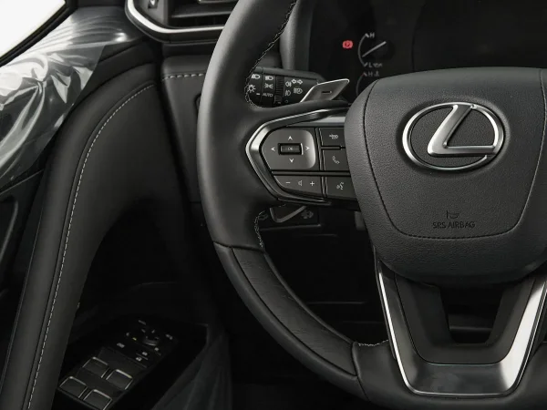 Lexus LX, IV фото №11