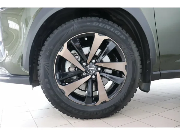 Lexus NX, I Рестайлинг фото №9