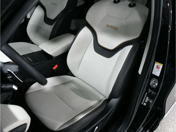 Haval Jolion, I фото №13