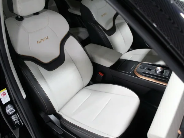 Haval Jolion, I фото №15