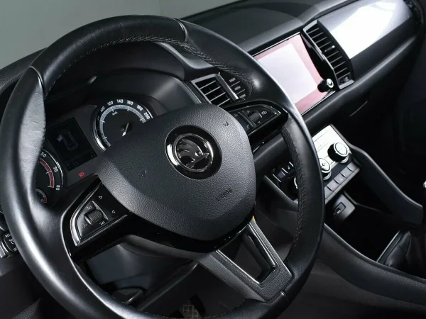 Skoda Kodiaq, I фото №9
