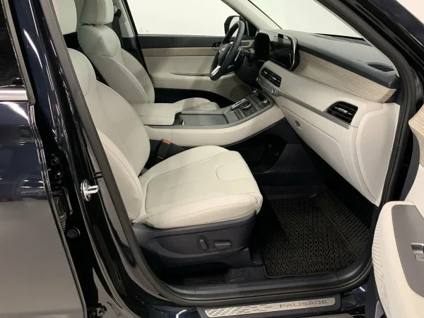 Hyundai Palisade, I фото №9