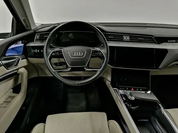 Audi e-tron, I фото №8