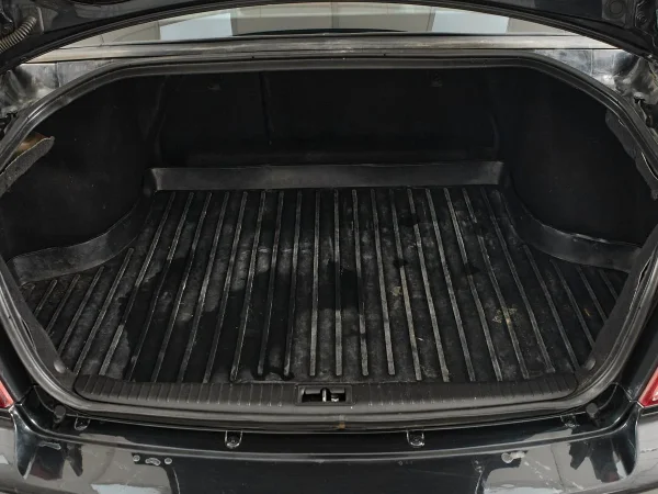 Hyundai Sonata, IV (EF) Рестайлинг фото №19