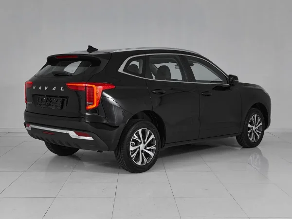 Haval Jolion, I фото №6