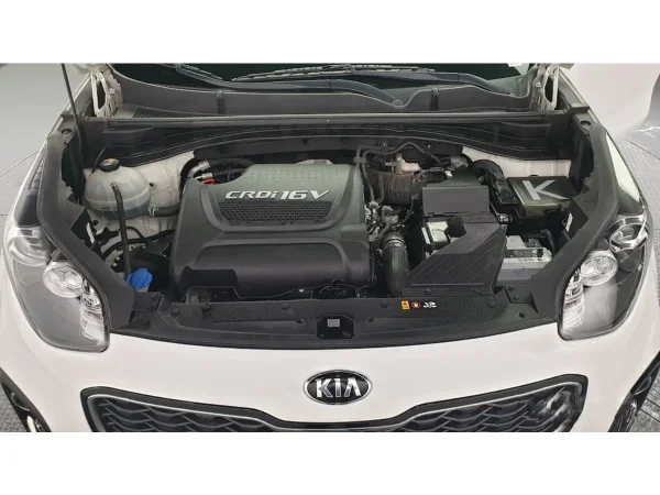 Kia Sportage, IV фото №6