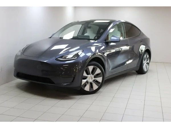 Tesla Model Y, I фото №1
