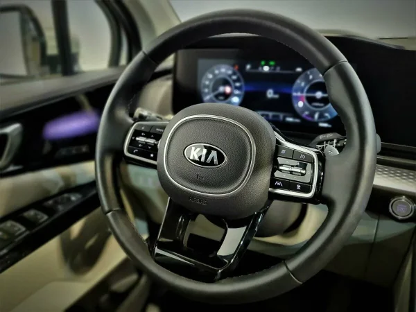 Kia Carnival, IV фото №10