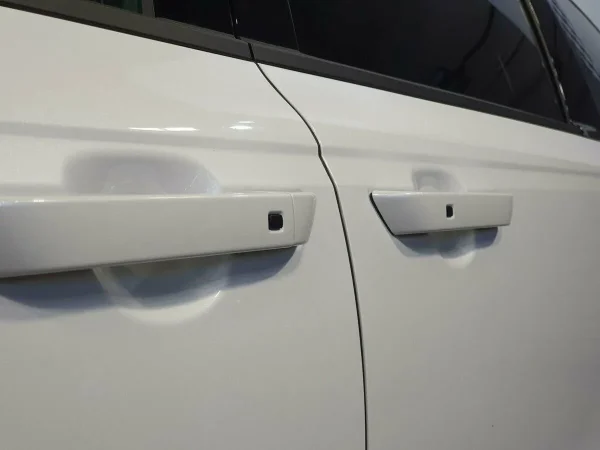 Kia Carnival, IV фото №6