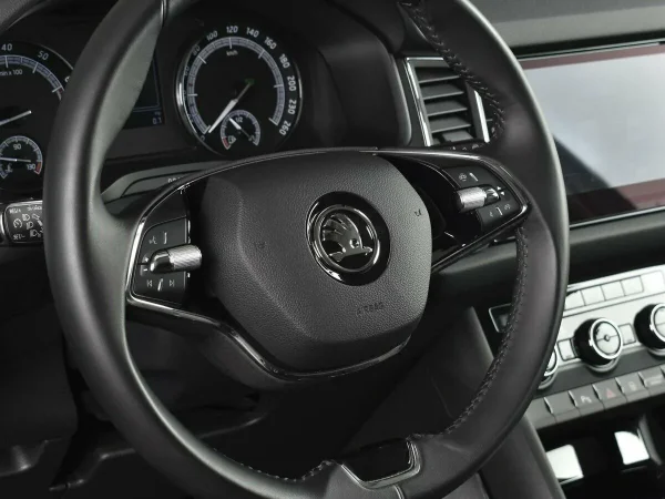 Skoda Kodiaq, I фото №11
