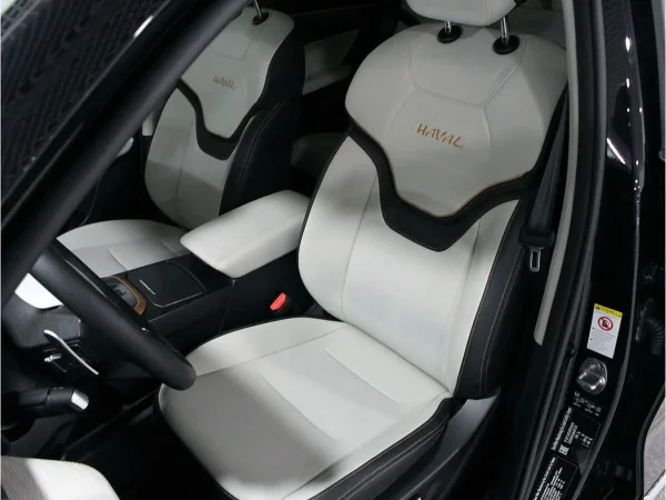 Haval Jolion, I фото №15