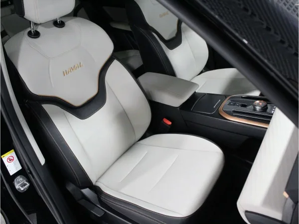 Haval Jolion, I фото №16