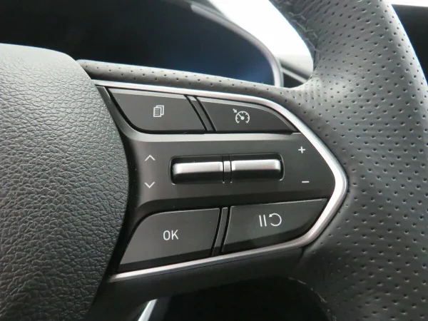 Hyundai Santa Fe, IV Рестайлинг фото №24