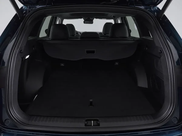 Geely Monjaro, I фото №7