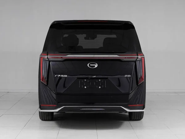 GAC M8, I фото №5