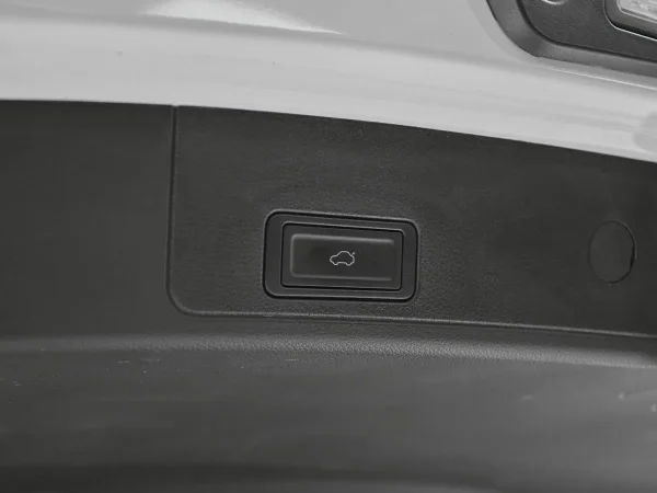 Chery Tiggo 7 Pro Max, I Рестайлинг фото №22