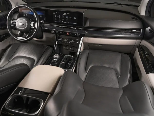 Kia Carnival, IV фото №10