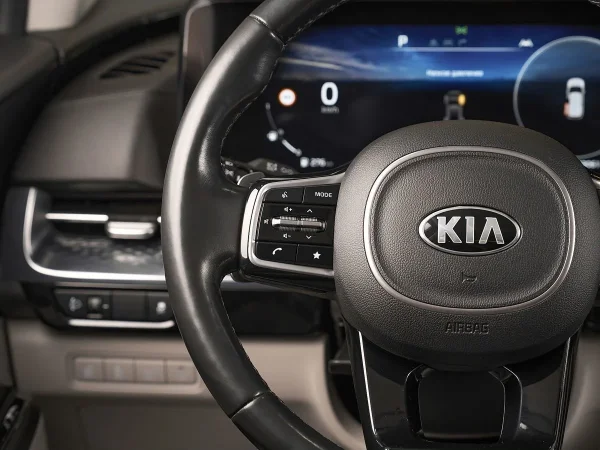 Kia Carnival, IV фото №12