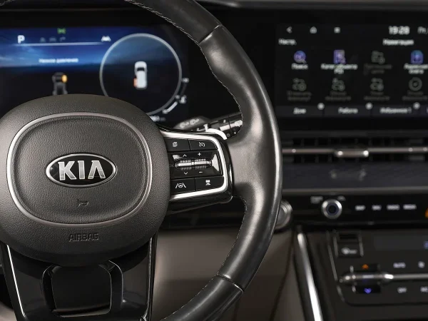 Kia Carnival, IV фото №13